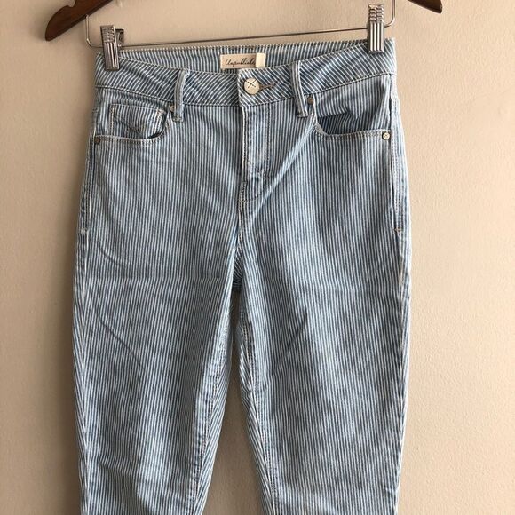 Unpublished High Rise Waist Striped Raw Hem Skinny Leg Denim Jeans Blue - Picture 3 of 12